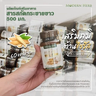 กระชายขาว พลัส 500 มก. (ของแท้!!) 60 แคปซูล สูตรเข้มข้น มาตราฐาน GMP ISO มี อย. รับรอง