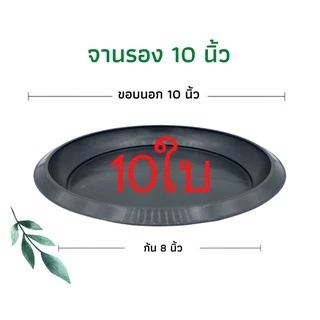 กระถางต้นไม้พลาสติก กระถางต้นไม้ กระถาง สีดำ สีขาว 10 นิ้ว 10ใบ ราคาส่ง