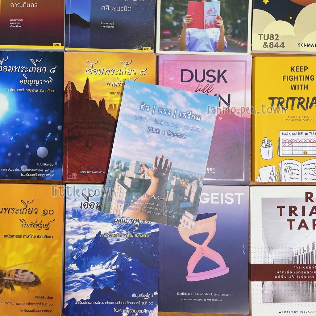 โปรติดเตรียม <มือสอง> รวมหนังสือรุ่นพี่เตรียมอุดม เอื้อมพระเกี้ยว คู่มือเตรียมสอบ ม.4 เตรียมอุดม