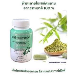 Five Steps Brand ยาฟ้าทะลายโจร ยาตำรับแผนโบราณ ตรา ไฟว์สเต็ปส์ Andrographis Paniculate Capsules (60 Capsules)