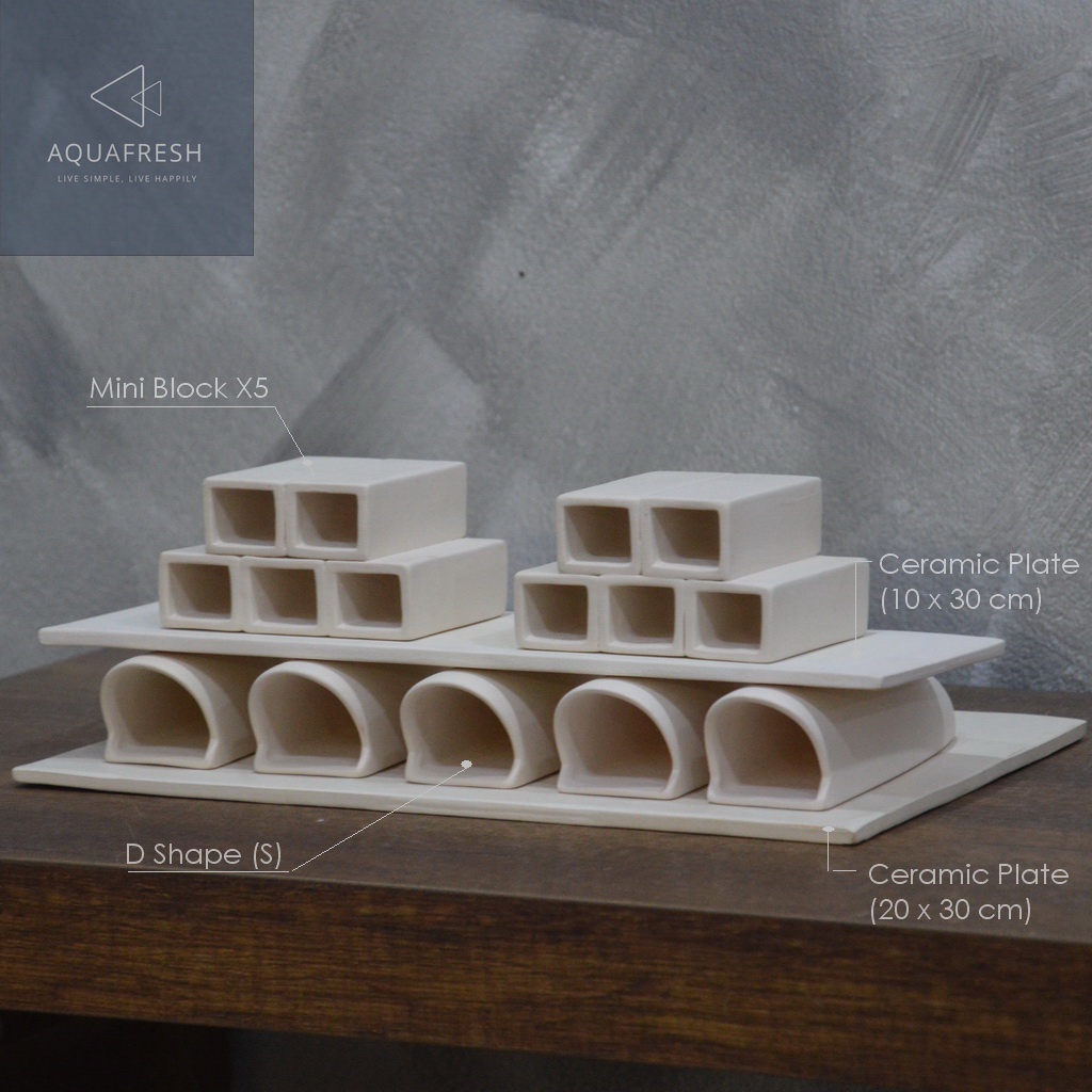 [Aquafresh] Pleco Breeding Set 5 สำหรับเพาะซักเกอร๋หนวด Bristlenose Pleco (L144) หรือปลาซักเกอร์ขนาด