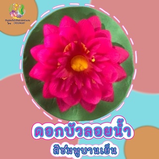 ดอกบัวลอยน้ำ สีสวยสดใส