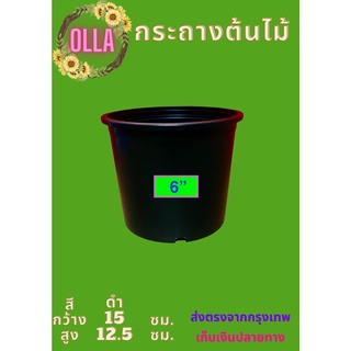 กระถางต้นไม้พลาสติก6 นิ้ว  จำนวน 100 ใบ