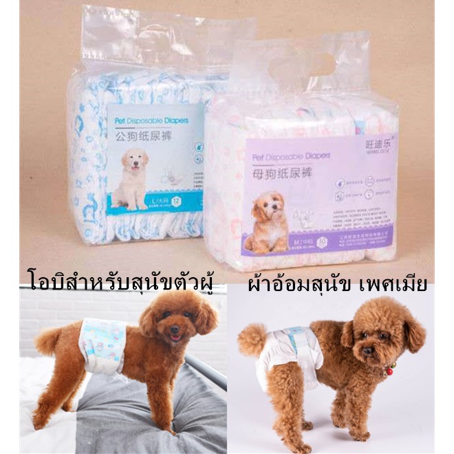 ผ้าอ้อมสุนัขเพศผู้ Sukina โอบิ ผ้าอ้อมสุนัขเพศชาย ผ้าอ้อม สำหรับสุนัขและแมว มี 4 ขนาด ผ้าอ้อมน้องหมา  ผ้าอ้อมสุนัข เพศเม