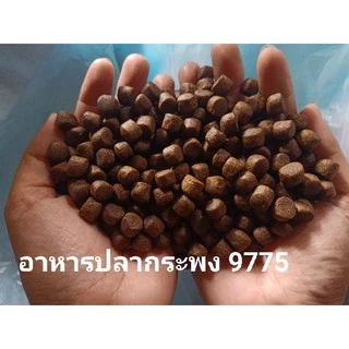 อาหารปลากระพง ไฮเกร์ด แบ่งขาย 1 กก. อาหารปลาทะเล