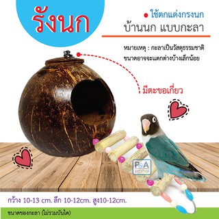 บ้านกะลา บ้านนก บ้านกระรอก / ชนิดแขวน / งานสวย _รุ่นนี้มีบันไดทางเข้า &amp; โซ่ตะขอแขวน