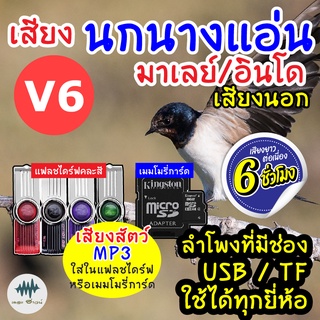 (MP3 เสียงต่อสัตว์) เสียงนกแอ่นอินโด-เสียงนอก V.6 [6ชั่วโมง] ใส่เมม/แฟลชไดร์ฟ มีเก็บเงินปลายทาง ชัดเข้าไว100% ไม่มีโฆษณา