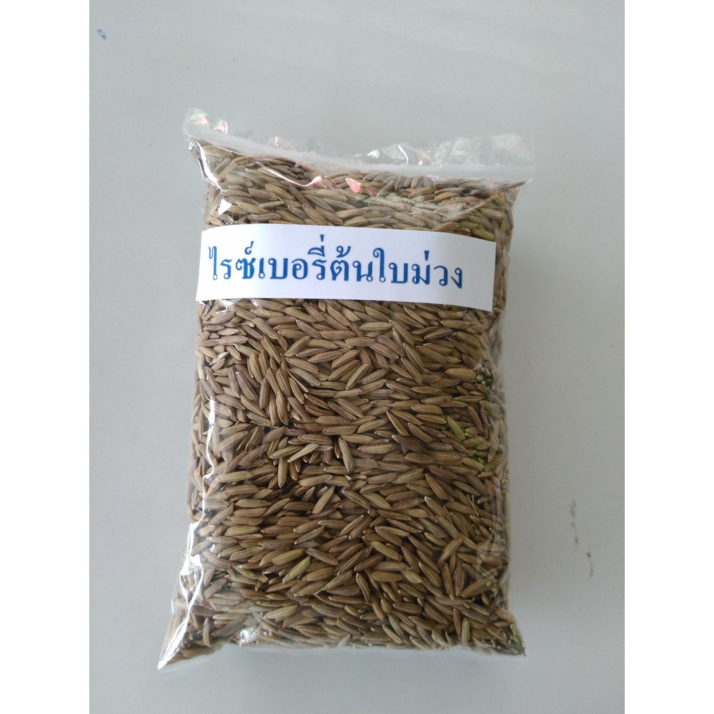 พันธุ์ข้าวไรซ์เบอรี่ต้นใบม่วง ขนาด 200 กรัมปลูกประดับเป็นข้าวแฟนซี