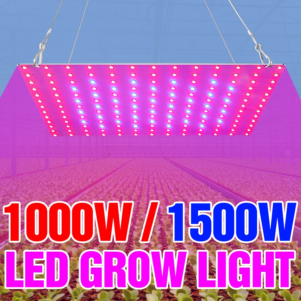 LED Quantum Board หลอดไฟ1500W Grow 220V เต็มสเปกตรัม110V Phytolamp 1000W ในร่ม Hydroponic ระบบ Grow 