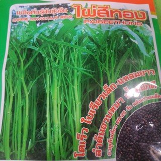 Just Bargains 1 Kg. เมล็ดผัก เมล็ดพันธุ์ผัก เพื่อการเพาะปลูก เม็ดผัก