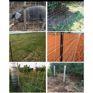 ส่งฟรี❗ช่องตา4'x4' รั้วถักปม รั้วตาข่ายแรงดึง ยาว30m/50m ลวดตาข่ายถักปม ลวดเหล็กล้อมรั้ว ลวดล้อมไร่สวน ลวดล้อมคอกส
