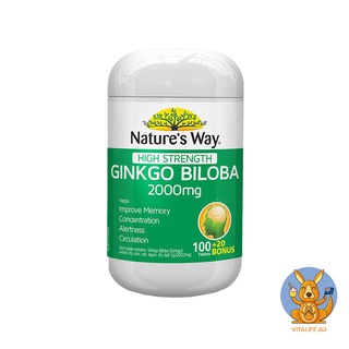 Natures Way Ginkgo Biloba 2000mg