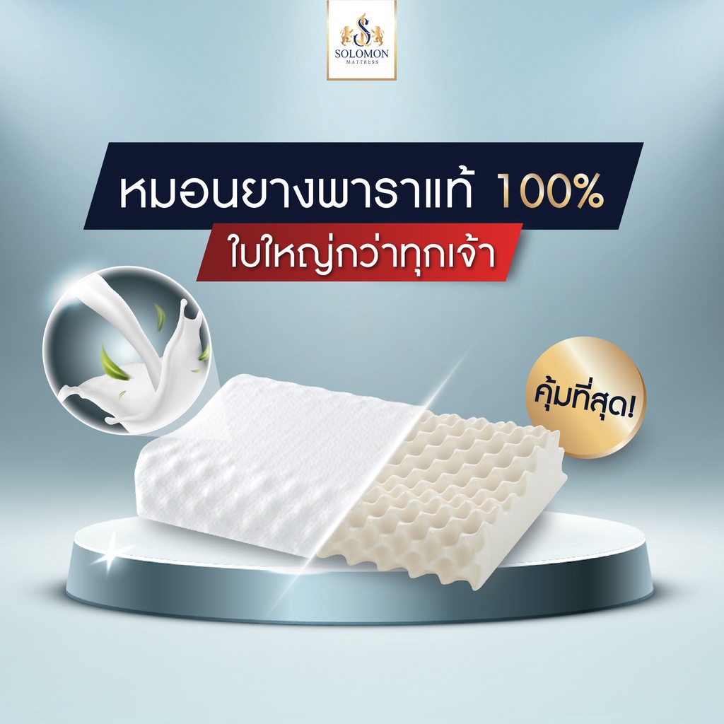 SOLOMON หมอนยางพาราแท้100% [ผ้าขาวบาง] จำนวน 1 ใบ