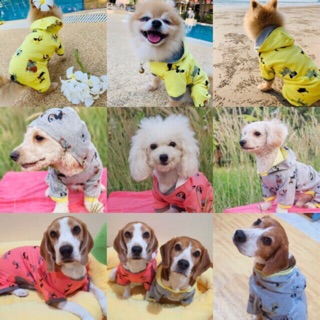 🔥 NEW HOT 🐶 เสื้อผ้าสัตว์เลี้ยงสุนัข แมว น่ารักๆ 🌙