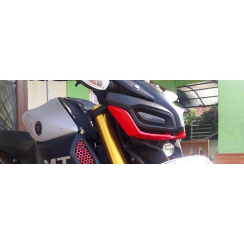 Winglet MT15********