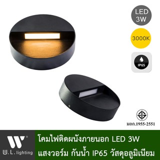 โคมไฟกิ่ง โคมไฟภายนอก โคมไฟติดผนัง โคมไฟติดผนังภายนอก รุ่น WL-6101-3W-BK-3000K