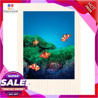 💥โปรสุดพิเศษ!!!💥 WSP มูลี่ประตู ลายทะเล รุ่น TK-32/042 ขนาด 80 x 200 ซม. สีขาว