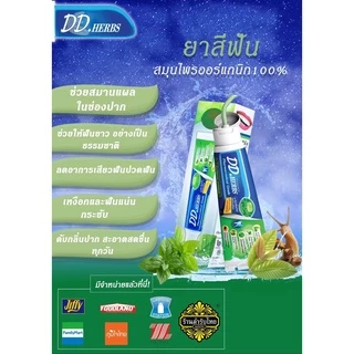 ดีดีเฮิร์บ ยาสีฟันสมุนไพรไทย ออแกนิก เงือกเลือดไหล เสียวฟันปวด 3-5วันหาย สูตรพรีเมี่ยม/ชาร์โคล/กระชาย ไร้