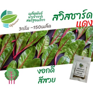 สวิสชาร์ดแดง (Red Swiss Chard)​ 150 เมล็ด