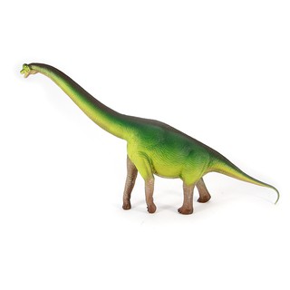 Safari Ltd. : SFR300229 โมเดลไดโนเสาร์ Brachiosaurus