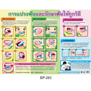 โปสเตอร์ การแปรงและรักษาฟันให้ถูกวิธี #EP-283 โปสเตอร์พลาสติก PP โปสเตอร์สื่อการเรียนการสอน สื่อการเรียนรู้