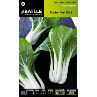 เมล็ด กวางตุ้งฮ่องเต้ก้านขาว - Canton Pak Choi