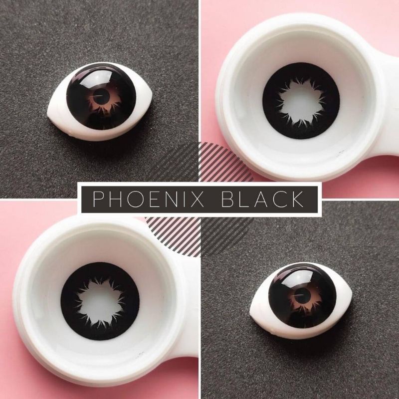 💜 Phoenix Black บิ๊กอาย สีดำ ดำ สายแบ๊ว ดวงตากลมโต Dream Color1 Contact Lens Bigeyes คอนแทคเลนส์แฟชั่น ตาโต