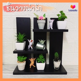 ชั้นวางต้นไม้ วางโมเดล แคคตัส MINI SHELF ชั้นไม้หลังระแนง ขนาด 28*30*11ซม.