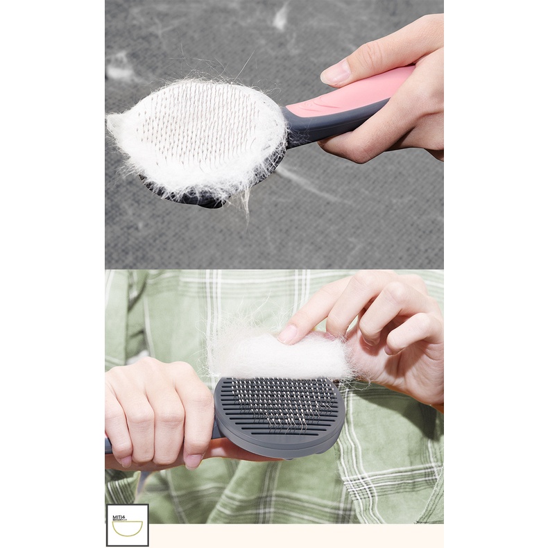 รูปภาพ 5