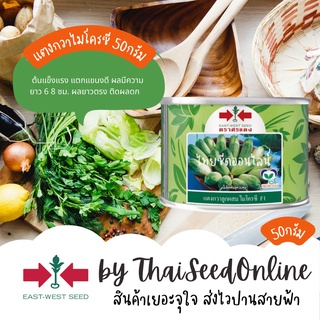 EWCOM เมล็ดพันธุ์ แตงกวาไมโครซี 50 กรัม ตราศรแดง Cucumber