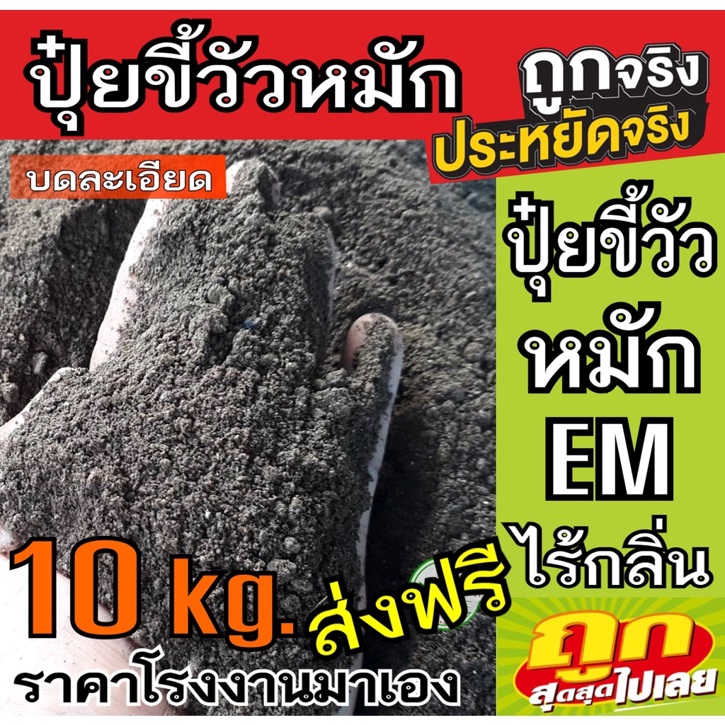 ขี้วัวหมัก 10 กิโล ส่งฟรี ผสมไตรโครเดอร์ม่า ขี้วัว หมัก EM (แบบบดละเอียด) พร้อมส่ง ปุ๋ยขี้วัว หมัก มูลวัว ปุ๋ยอินทรีย์