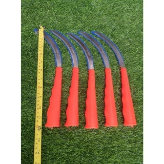 เคียวตัดหญ้า เคียวเกี่ยวข้าว เคียวเกี่ยวหญ้า เคียวตัดดีคมนาน เคียวสแตนเลส เคียวด้ามส้ม เคียวนำเข้า
