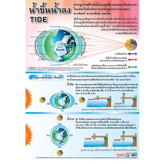 โปสเตอร์เรื่องปรากฎการณ์น้ำขึ้นน้ำลง #EQ-186 โปสเตอร์กระดาษอาร์ตมัน