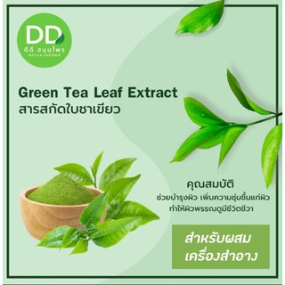 สารสกัดชาเขียว / Greentea Extract / สารสกัดสมุนไพร /่ สำหรับผสมเครื่องสำอาง