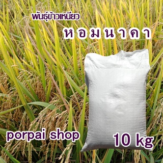 พันธุ์ข้าวเหนียวหอมนาคาข้าวเหนียวพันธุ์ใหม่ 10 kg