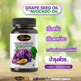 เกรปซีด Grape Seed plus Avocado oil ขนาด 60 เม็ด 1 กระปุก ลดฝ้า รอยดำ รอยไหม้จากแดด