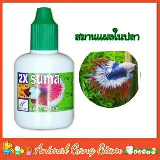 Suma X2 ซูม่า สำหรับปลากัด สมานแผล รักษาปลากัดถูกกัด แผลเลือด 12ml.