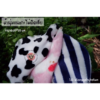 ผ้านุ่มขนแกะสำหรับสัตว์เลี้ยง ไม่ติดเล็บ สำหรับชูการ์ กระรอก แฮมสเตอร์ ขนาด 20*20 cm🐿🐵🐹🦔