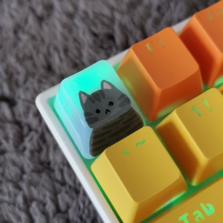 OEM keycap แมวสลิด tabby cat OEM keycap แมวขาว ตาสีดำ (สำหรับ mechanical keyboard)