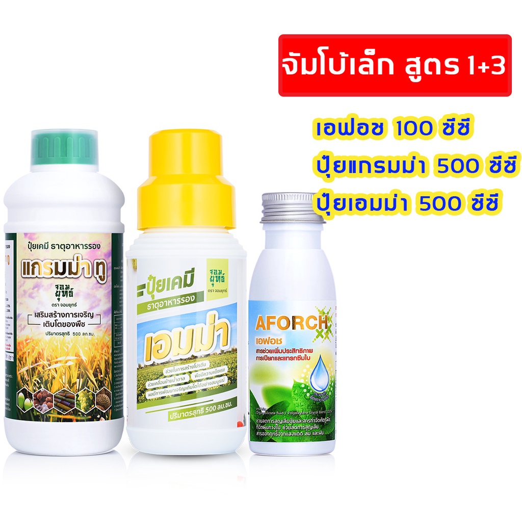 Fertilizer 1850 บาท [ของแท้ 100%] ป้องกันเชื้อรา ใบเขียว แตกยอด ผลใหญ่ ชุดจัมโบ้เล็ก เอฟอช 100 cc + ปุ๋ยน้ำแกรมม่า 500 cc + ปุ๋ยน้ำเอมม่า Home & Living
