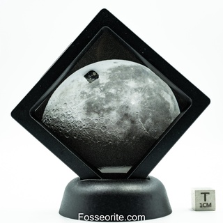 [พิเศษ+หนัก195mg] อุกกาบาตดวงจันทร์ NWA 11474 Lunar Feldsp. Breccia Meteorite from Moon พร้อมใบรับรอง ของขวัญสุดล้ำค่า