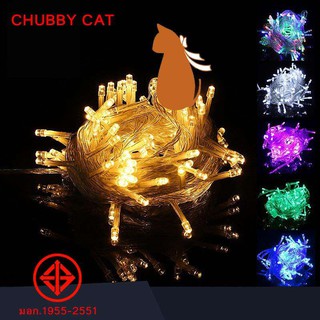 ไฟประดับตกแต่ง LED สีสวย ไฟกระพริบ นิ่ง ยาว 10เมตร 80ดวง ไฟป…