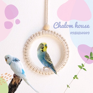 พร้อมส่ง✅ ชิงช้านก จิกกัดเพลิน มันส์หัวสั่น ของเล่นนก bird swing