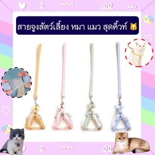 PP-386 สายจูงสัตว์เลี้ยง หมา แมว สุดคิ้วท์ สายจูงมีโบว์ น่ารัก ราคาถูก พร้อมส่ง💘🥰