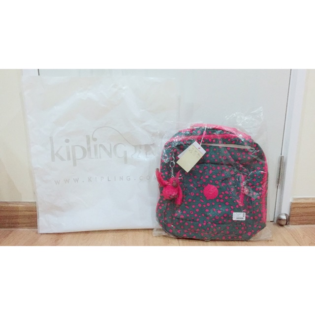 Kipling Bag