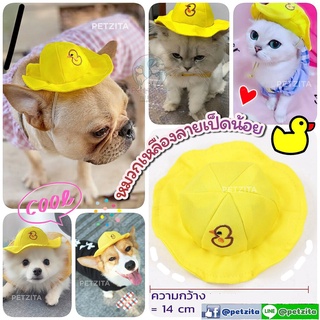 🇹🇭พร้อมส่ง🇹🇭 🐤 หมวกเหลืองลายเป็ดน้อย for pet หมวกสุนัข ชุดหมา ชุดแมว