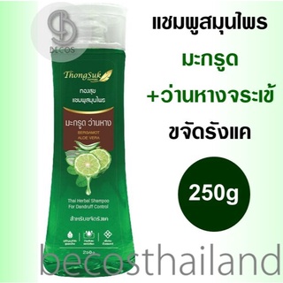 Thongsuk Thai Herbal Shampoo Bergamot &amp; Aloe Vera 250g ทองสุข แชมพูมะกรูด +ว่านหางจระเข้ ขจัดรังแค