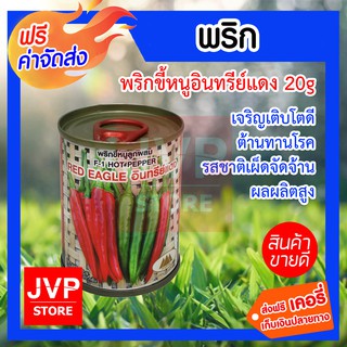 **ส่งฟรี**เมล็ดพริกพริกอินทรีย์แดง 20g. ตราภูเขาทอง ปลูกง่าย ติดผลดก รสเผ็ดจัดจ้าน ต้านทานโรค ให้ผลผลิตสูง