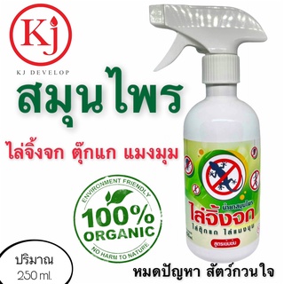 KJ develop ไล่จิ้งจก เห็นผลชัดเจน สกัดจากธรรมชาติ 100% สูตรเข้มข้น