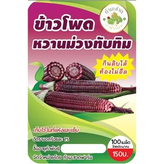 [กินดิบได้!] 🌽 เมล็ดพันธุ์ ข้าวโพดหวานม่วงทับทิม ข้าวโพดทานดิบได้ ไม่ใช่ ทับทิมสยาม ข้าวโพดฮอกไกโด ข้าวโพดทับทิม